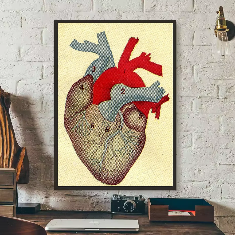 Human Anatomy Muscle System Poster HD art sticky wall waterproof home living room bedroom bar aesthetic decoration Peaceful Pleasures Health and Wellness z6 21X30cmNoframe