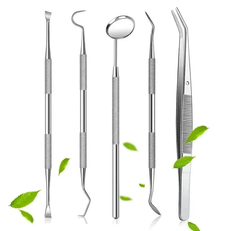 6-Piece Stainless Steel Dental Oral Care Kit | Tartar Removal Tools Dental Care Kit Peaceful Pleasures Health and Wellness