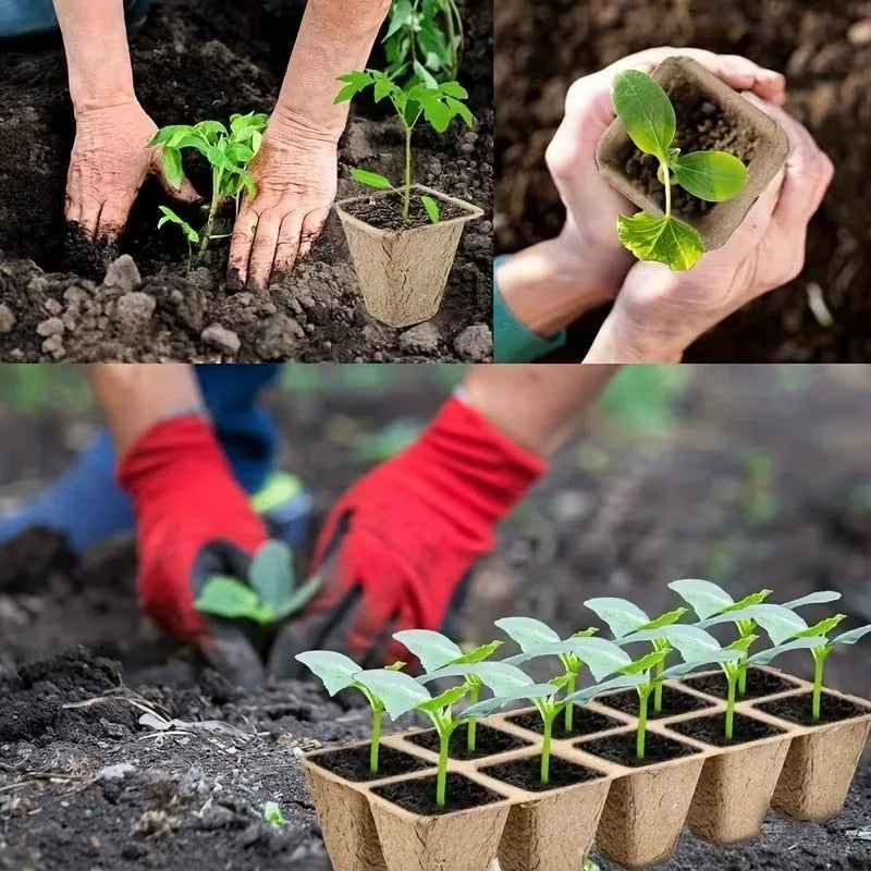 10-Cell Biodegradable Seed Starter Tray | Eco Paper Pulp Pots
