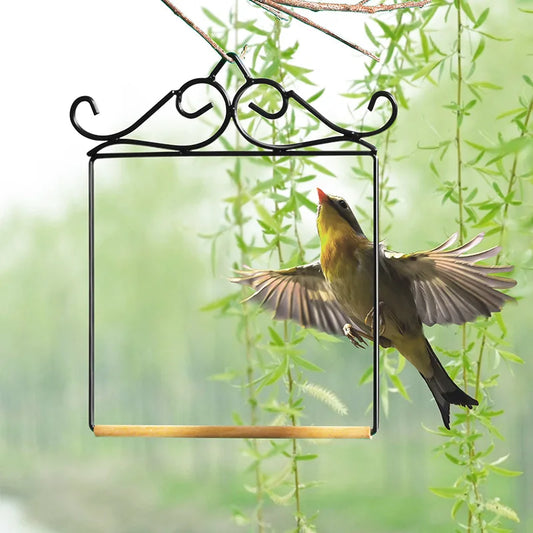 Portable Bird Stand Parrot Stand Bird Stand Birdcage Stand Platform Small Live Bird Training Accessories Budgerigar Peaceful Pleasures Health and Wellness