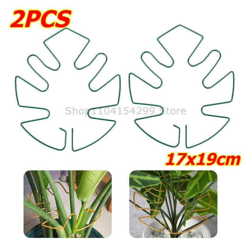 Large Monstera Plant Support Frame – Stem Climbing Stabilizer