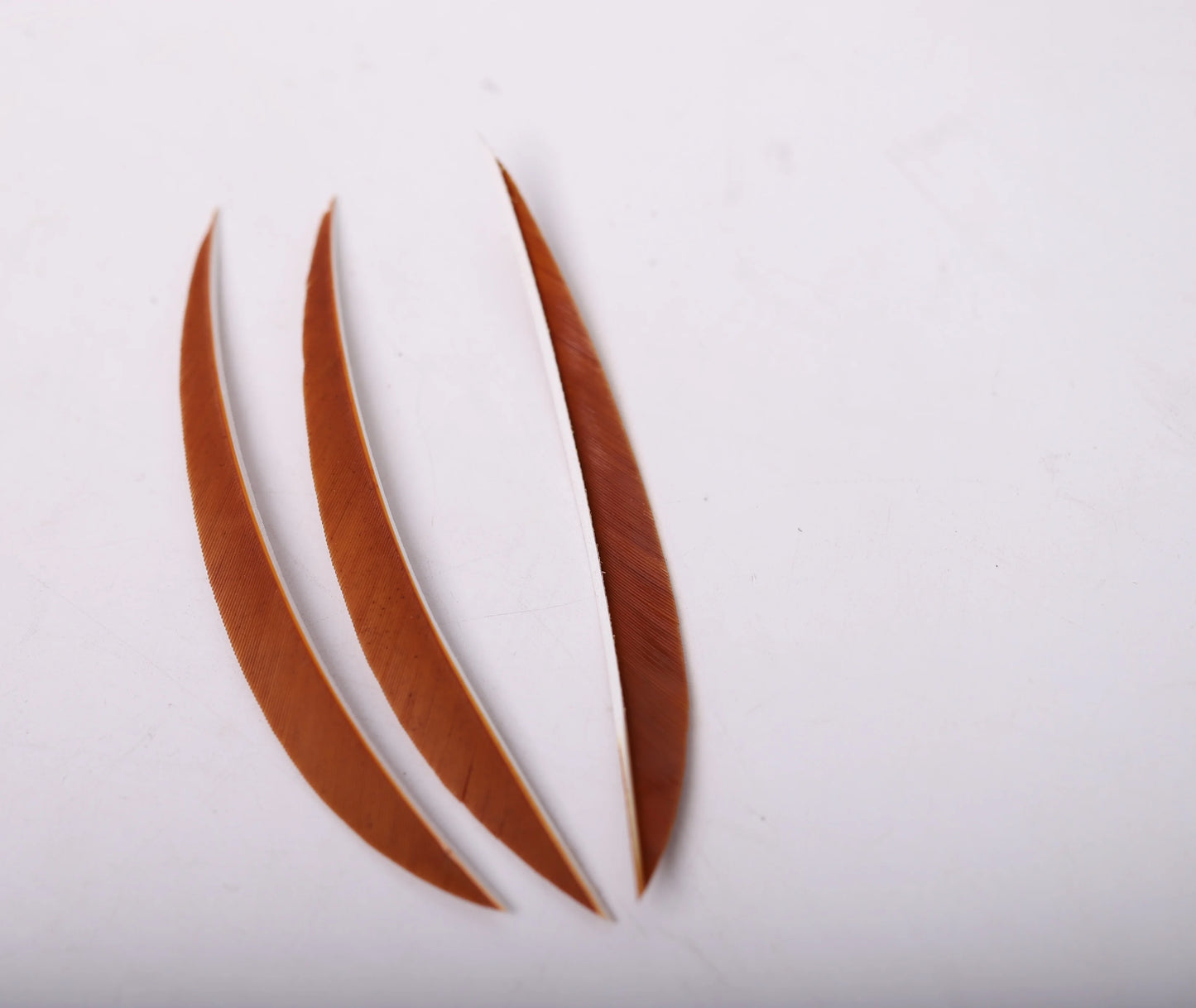 ACCMOS 5-Inch Real Turkey Feather Fletching Arrow Feathers 15 Colors