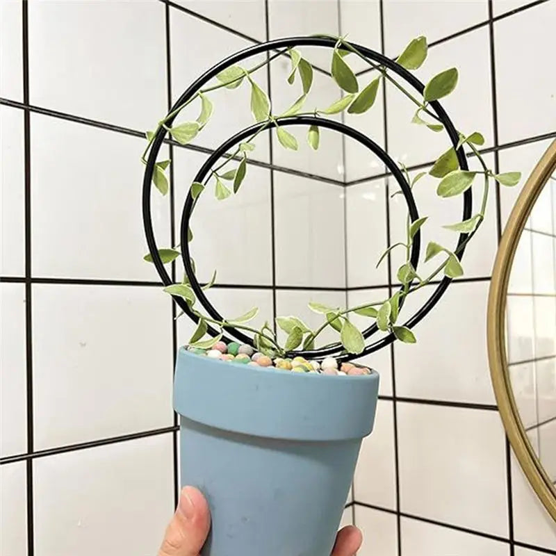 Set of 3 Round Metal Plant Trellises for Climbing Houseplants
