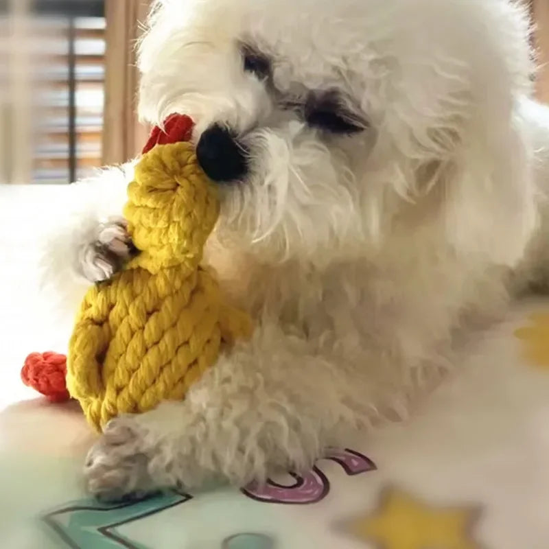 Hand-Woven Rope Knot Dog Toy – Small & Medium Dogs