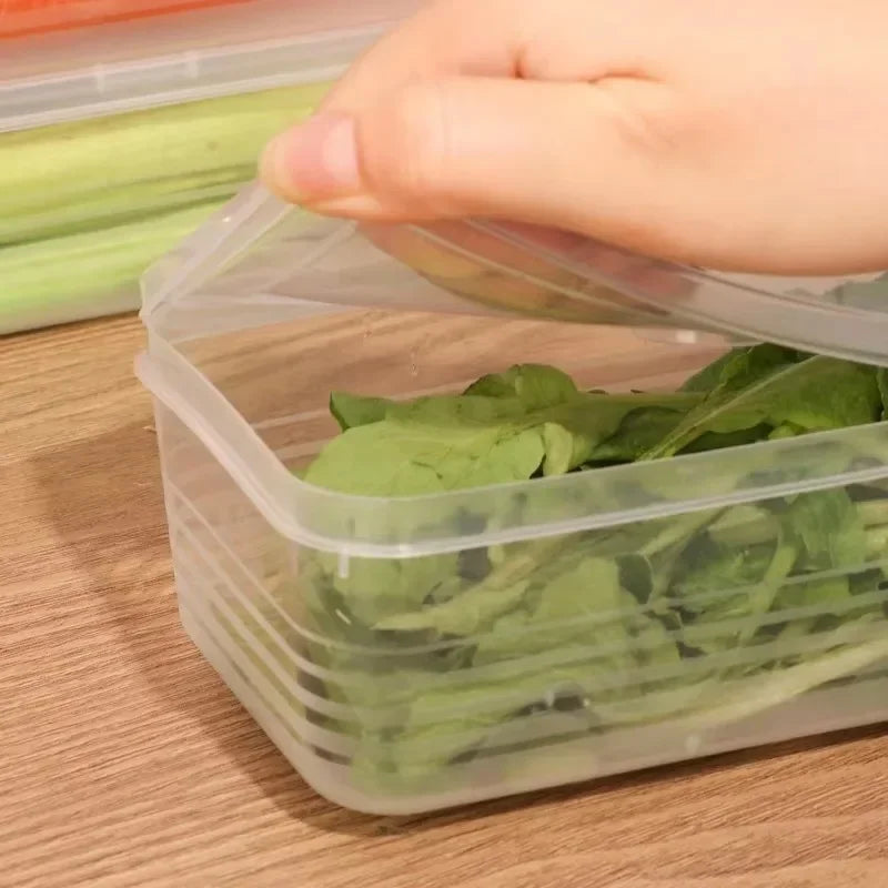 Fridge Herb & Scallion Storage Containers with Lids | 1–5 Pack