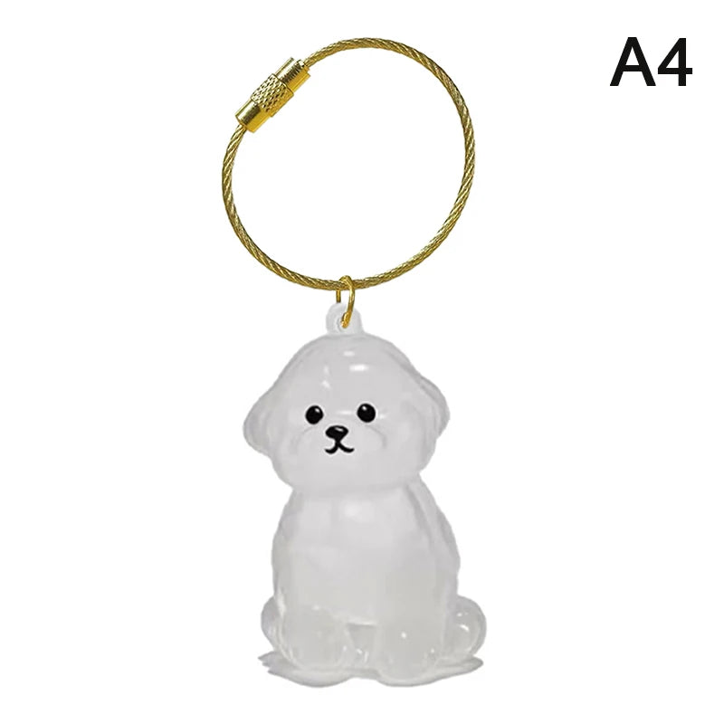 Clear Dog Fur Keepsake Keychain – DIY Pet Memorial Gift