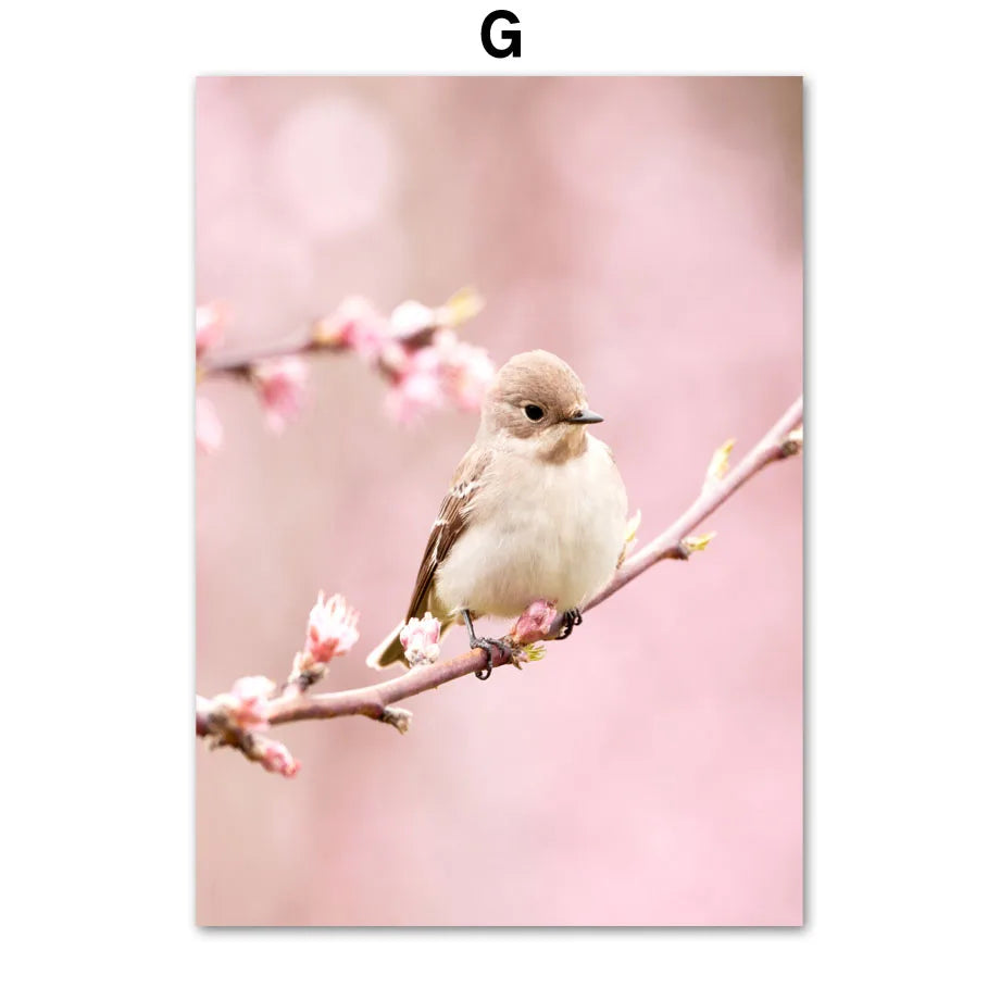 1pc frameless Canvas painting Spring Pink Rose Peony Sakura Dandelion Orchid Sparrow Car Garden Posters Flower Wall Art Canva Peaceful Pleasures Health and Wellness G 50x70cm Unframed