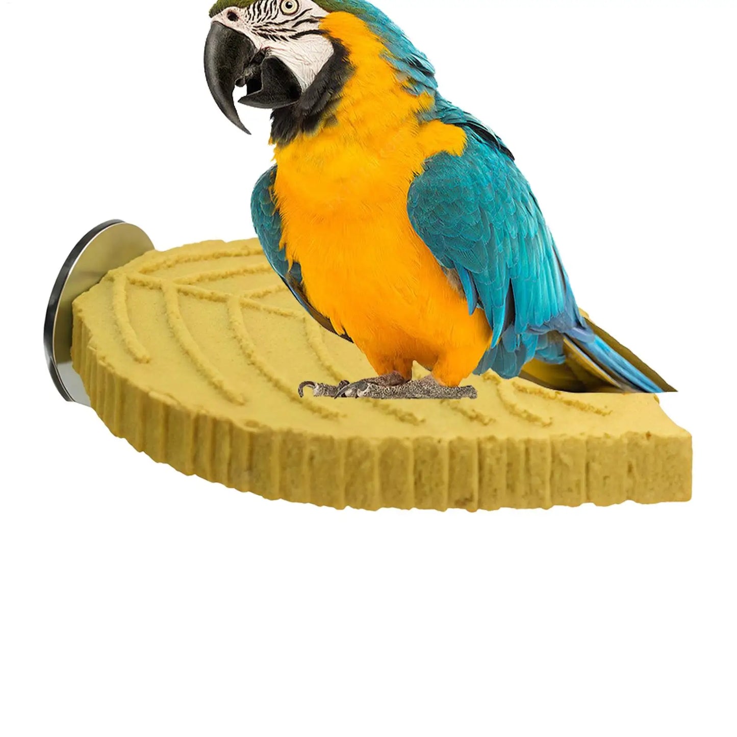 Resin Bird Perch Stand for Cockatiels & Parakeets | Cage Toy