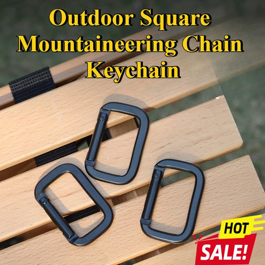 2-Pack Aluminum Carabiner Spring Snap Clip Keychain Camping Hiking Carabiner Keychain Clip Peaceful Pleasures Health and Wellness