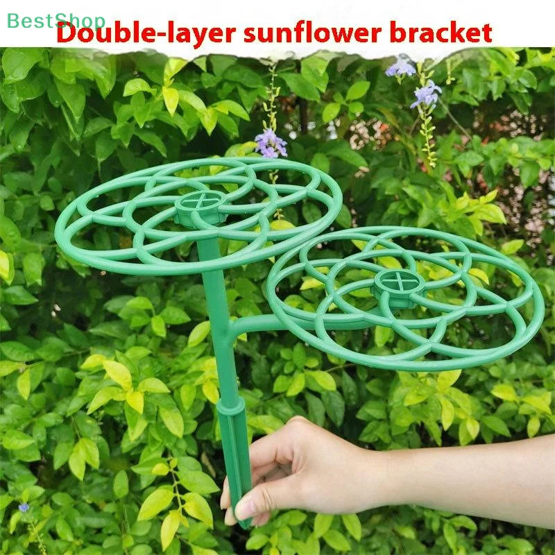 Plant Support Trellis Frame – Multi-Layer for Climbing Plants