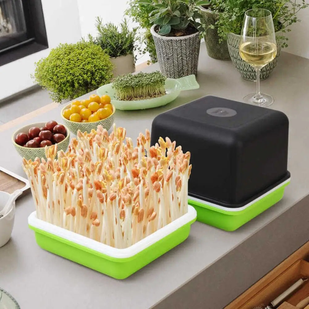Hydroponic Sprouting Tray – Soilless Seed Germination Kit