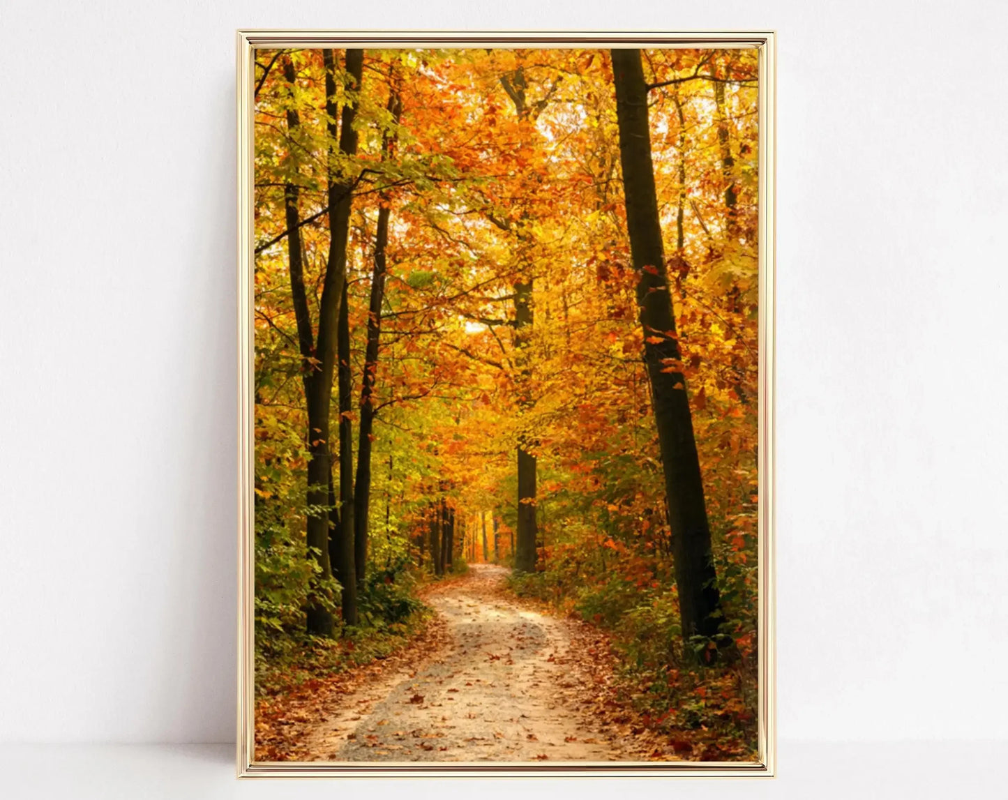 Autumn Forest Path Canvas Print | Golden Leaves Wall Art