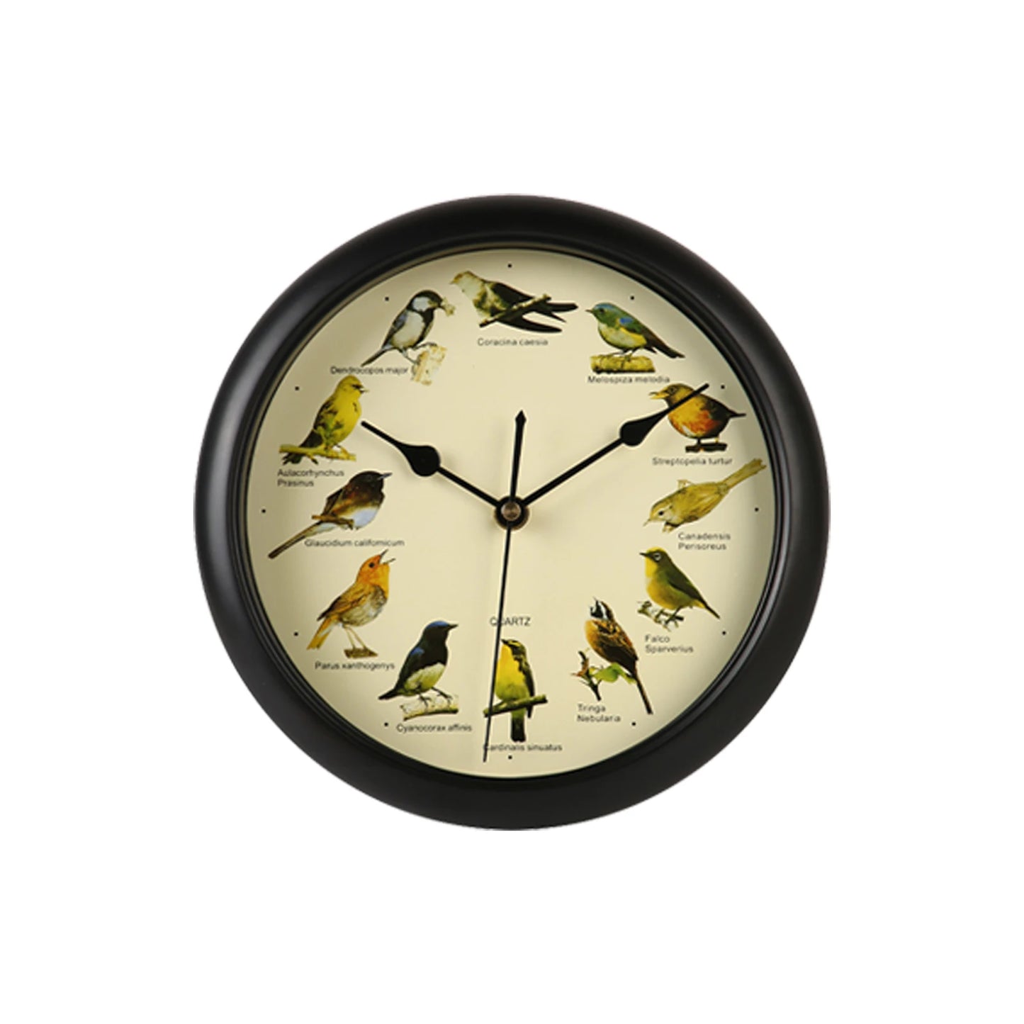 Wall Hanging Clock Decor Singing Bird Wall Clock Bird Clock With Sound Hanging Clock Decor for Kitchen Walls Shelf Decoration Peaceful Pleasures Health and Wellness D