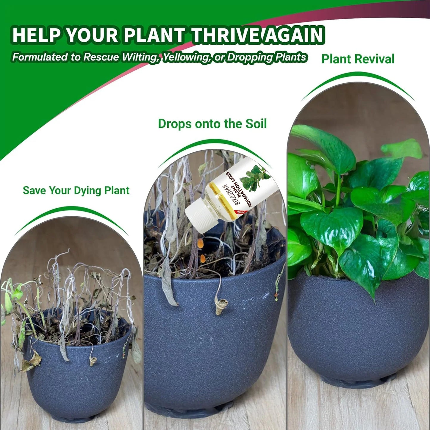 Rapid Rooting Liquid Hormone for Plants Propagation Solution Promote Root Growth Fertilizer Recovery for Struggling Houseplants Peaceful Pleasures Health and Wellness