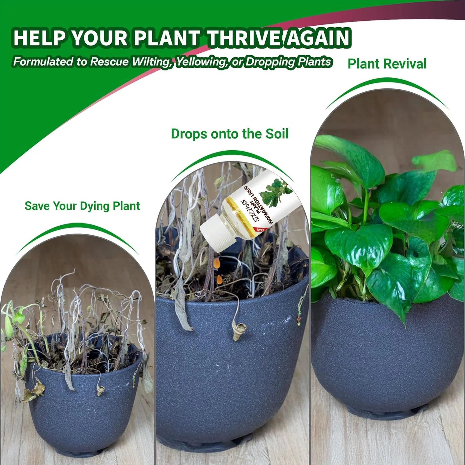 Rapid Rooting Liquid Hormone for Plants Propagation Solution Promote Root Growth Fertilizer Recovery for Struggling Houseplants Peaceful Pleasures Health and Wellness
