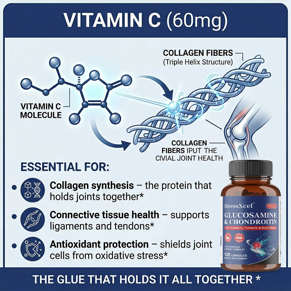 Glucosamine Chondroitin Turmeric Joint Support Capsules | Non-GMO