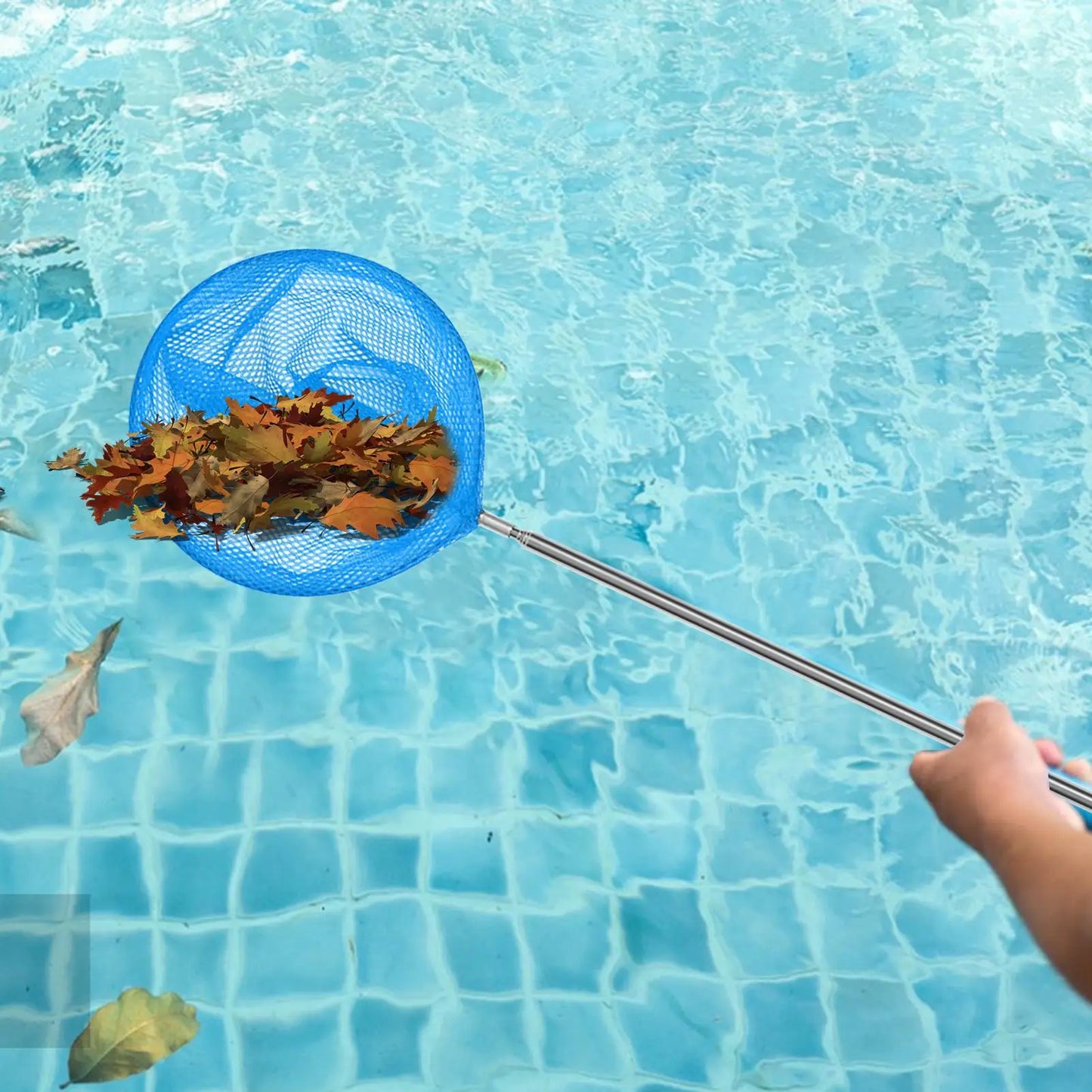 Retractable Kids Butterfly & Fishing Net | Telescopic Outdoor Toy