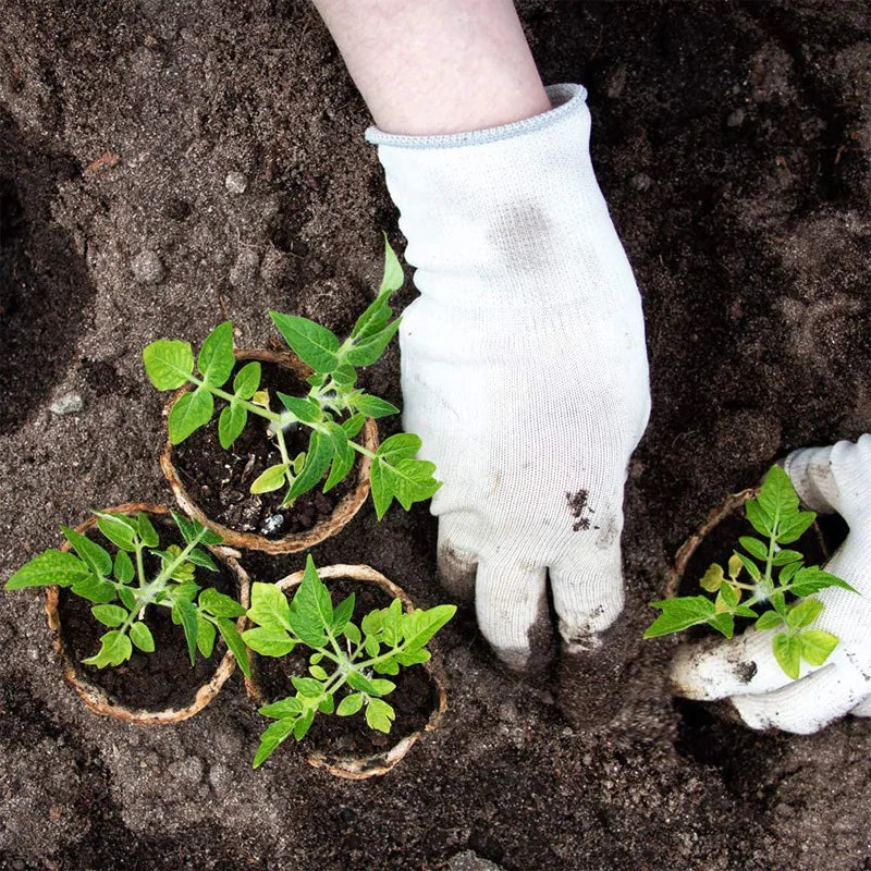 Biodegradable Pulp Seed Starter Pots | 10/20 Pack with Drainage