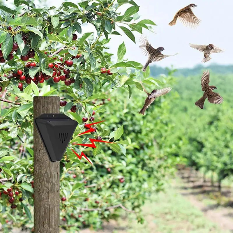 Solar Animal Repeller – 13 Sounds, Waterproof Bird Deterrent