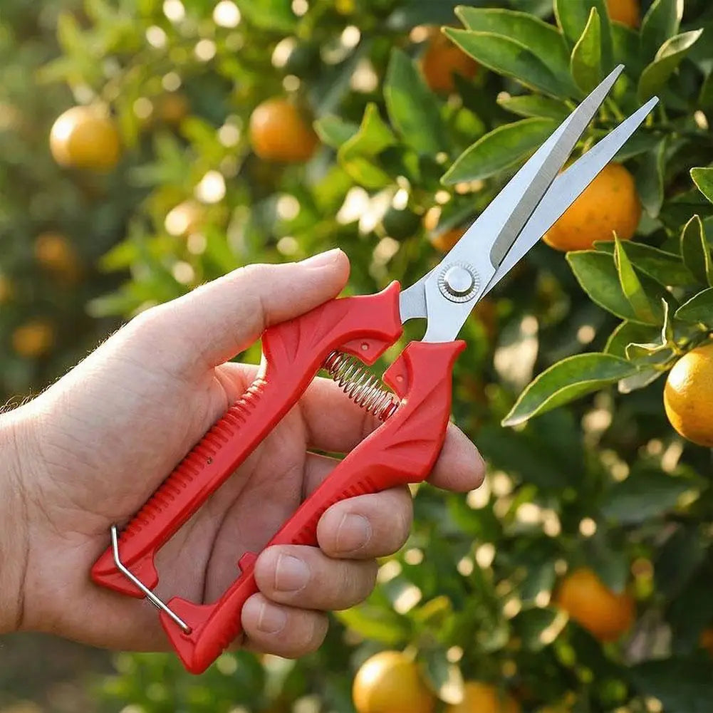 Garden Pruning Shears – Stainless Steel Bonsai Scissors 4 Sizes