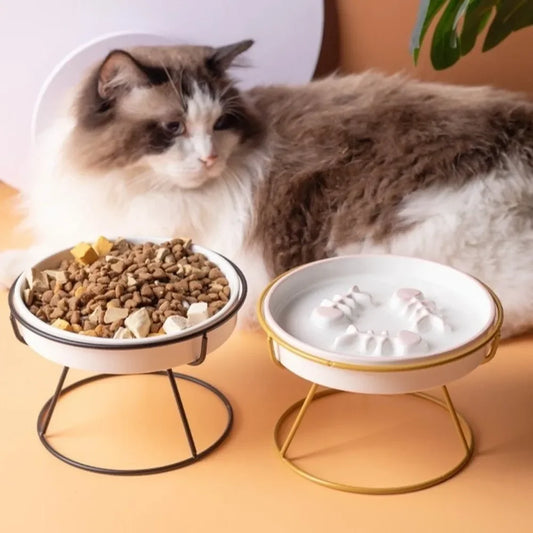 Raised Ceramic Cat Bowl | Elevated Slow Feeder & Water Bowl Raised Cat Bowl Peaceful Pleasures Health and Wellness