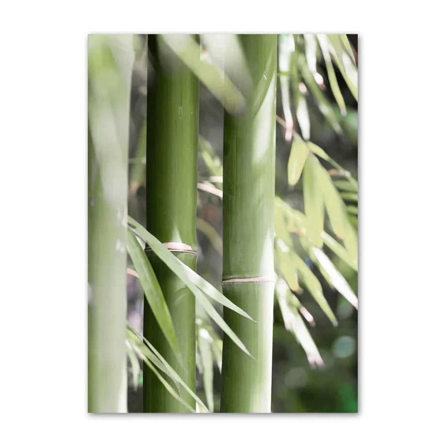 1pc frameless Canvas Painting Simple Wall Art Nature Green Leaf Landscape Poster Oil Painting Posters Prints Home Bedroom Liv Peaceful Pleasures Health and Wellness CJ51511 50x70cm Unframed