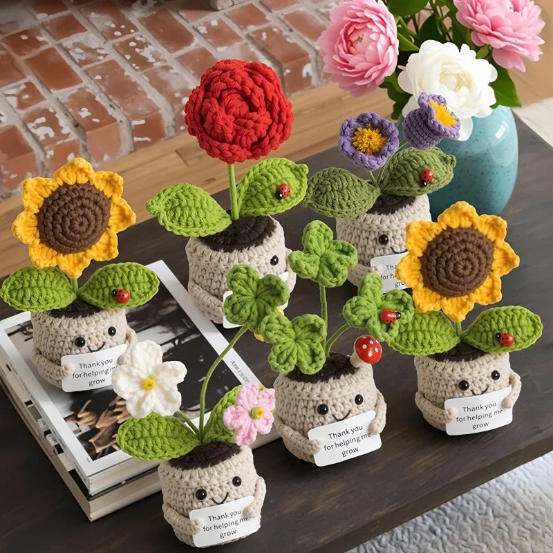 Emotional Support Crochet Flower Pot | Handmade Knitted Gift
