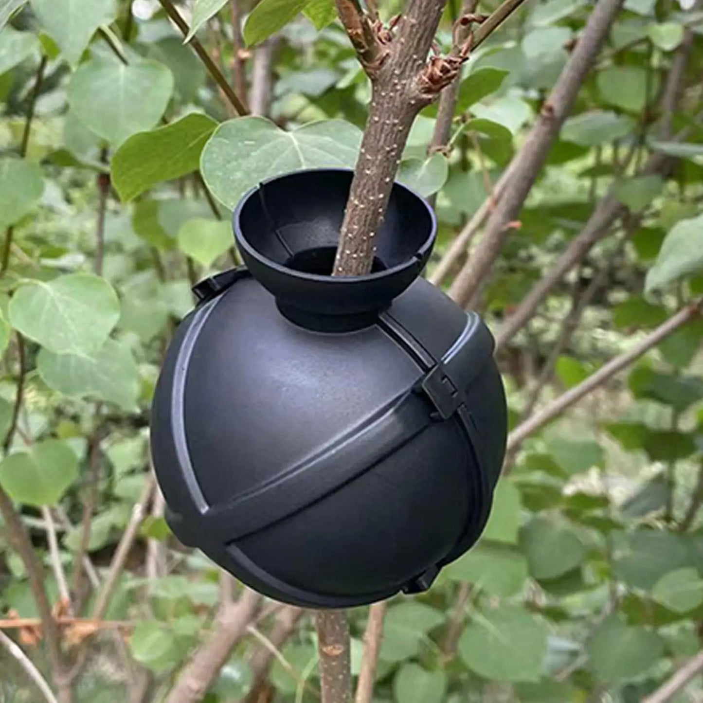 Plastic Grafting Rooting Ball | Plant Propagation Box