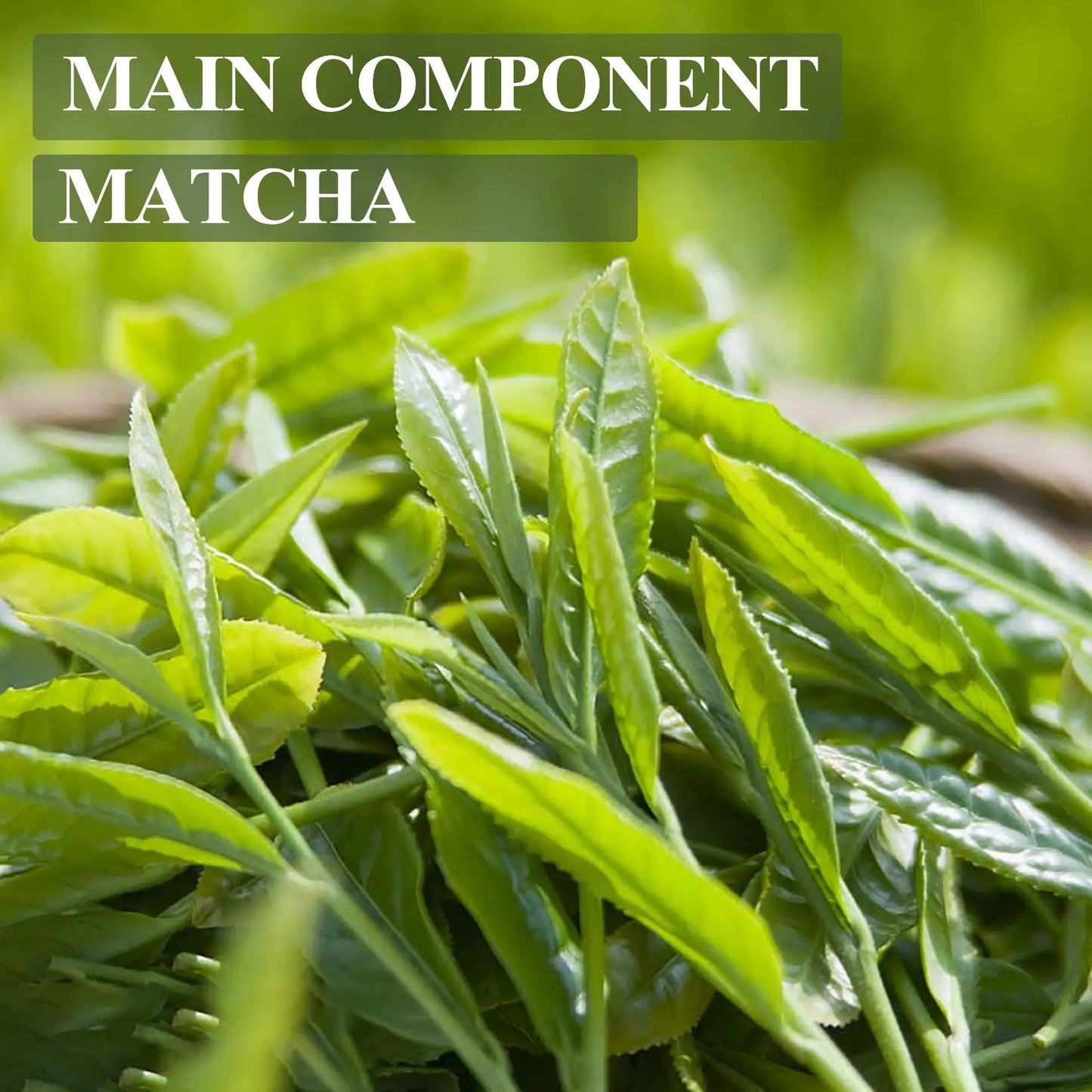 Lanemay Matcha Toner – Hydrating & Pore-Minimizing | 100ml