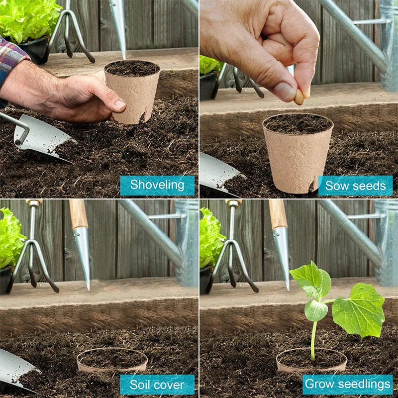 Biodegradable Pulp Seed Starter Pots | 10/20 Pack with Drainage