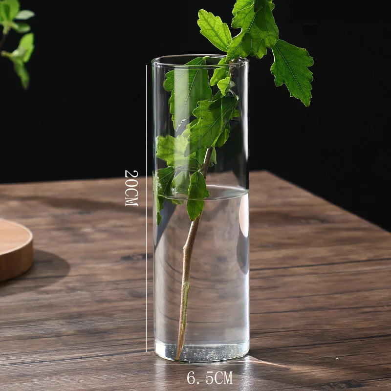 Transparent Glass Hydroponic Vase Modern Small Cylinder Flower Centerpiece Vases Use For Floral Wedding Home Decoration Peaceful Pleasures Health and Wellness 6.5x20cm