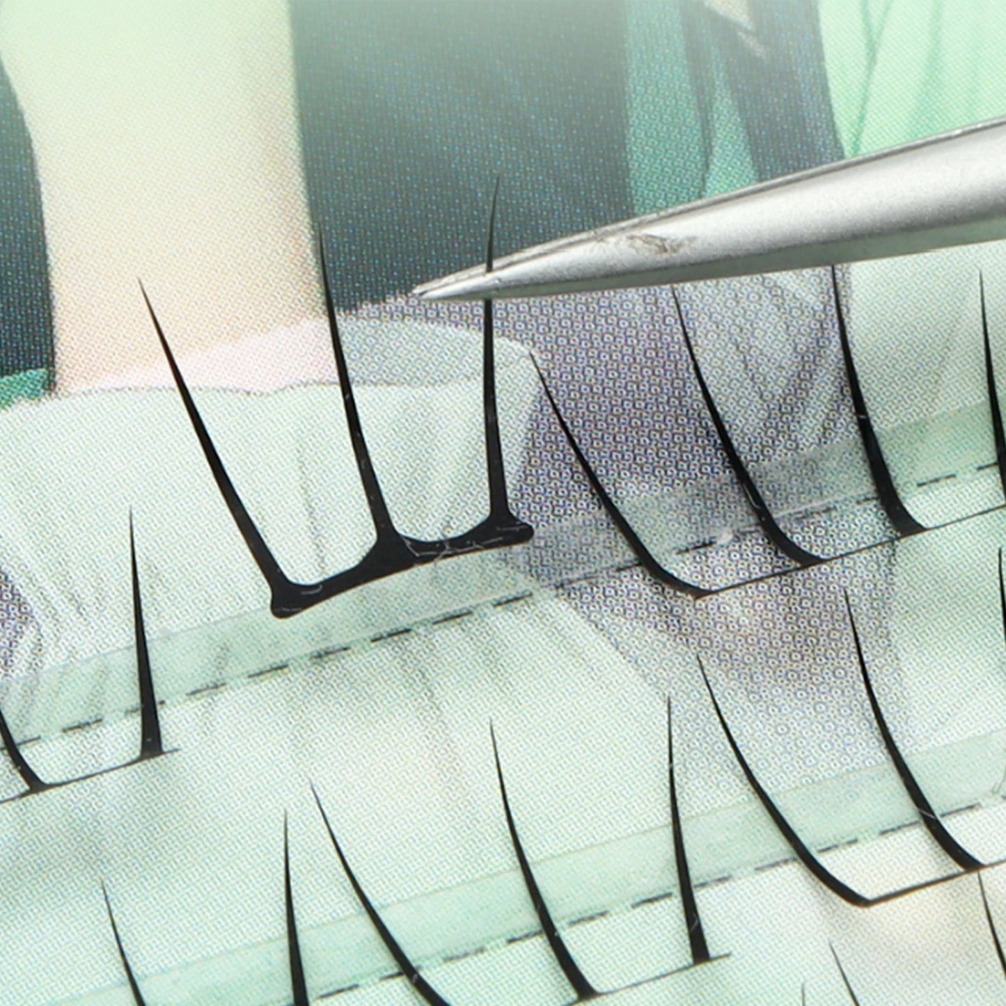 Korean Glue-Free False Eyelash Clusters | C Curl 10-12mm