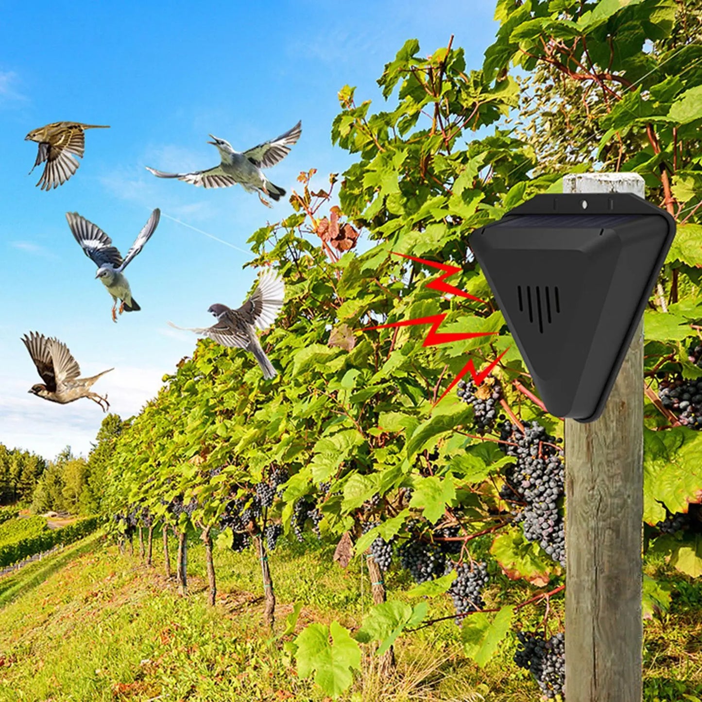 Solar Bird Repeller – Multi-Sound Timer Deterrent | Garden & Farm