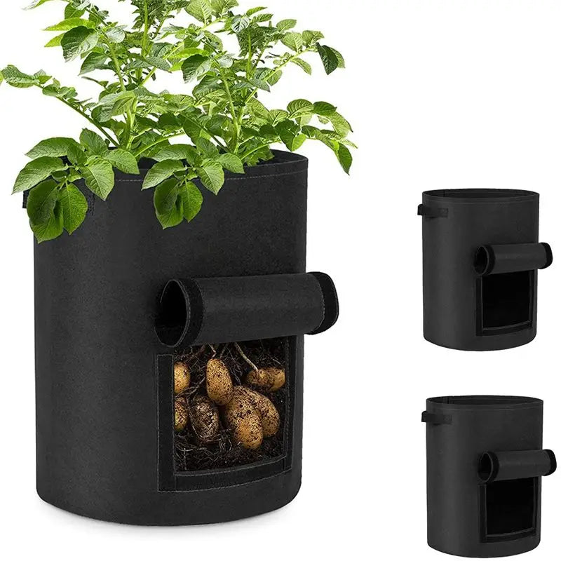 6-Pack Fabric Grow Bags with Harvest Windows & Handles