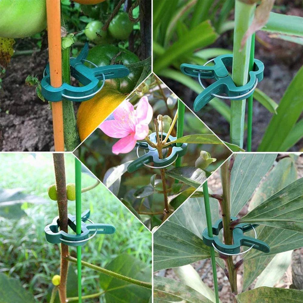 Plant Support Clips – Reusable Vine & Branch Clamping Stakes