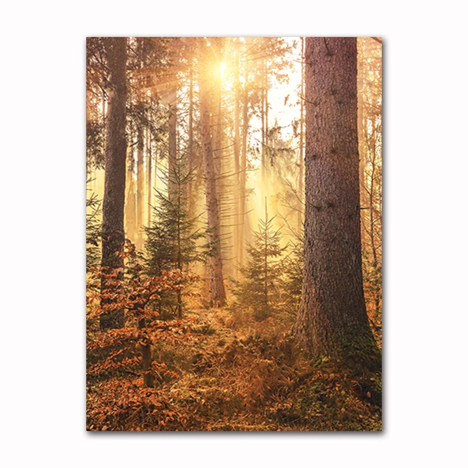 Autumn Landscape Canvas Wall Art | Nature Scenery Animal Print Canvas Wall Art Peaceful Pleasures Health and Wellness T60297-04 40x50cm Unframed