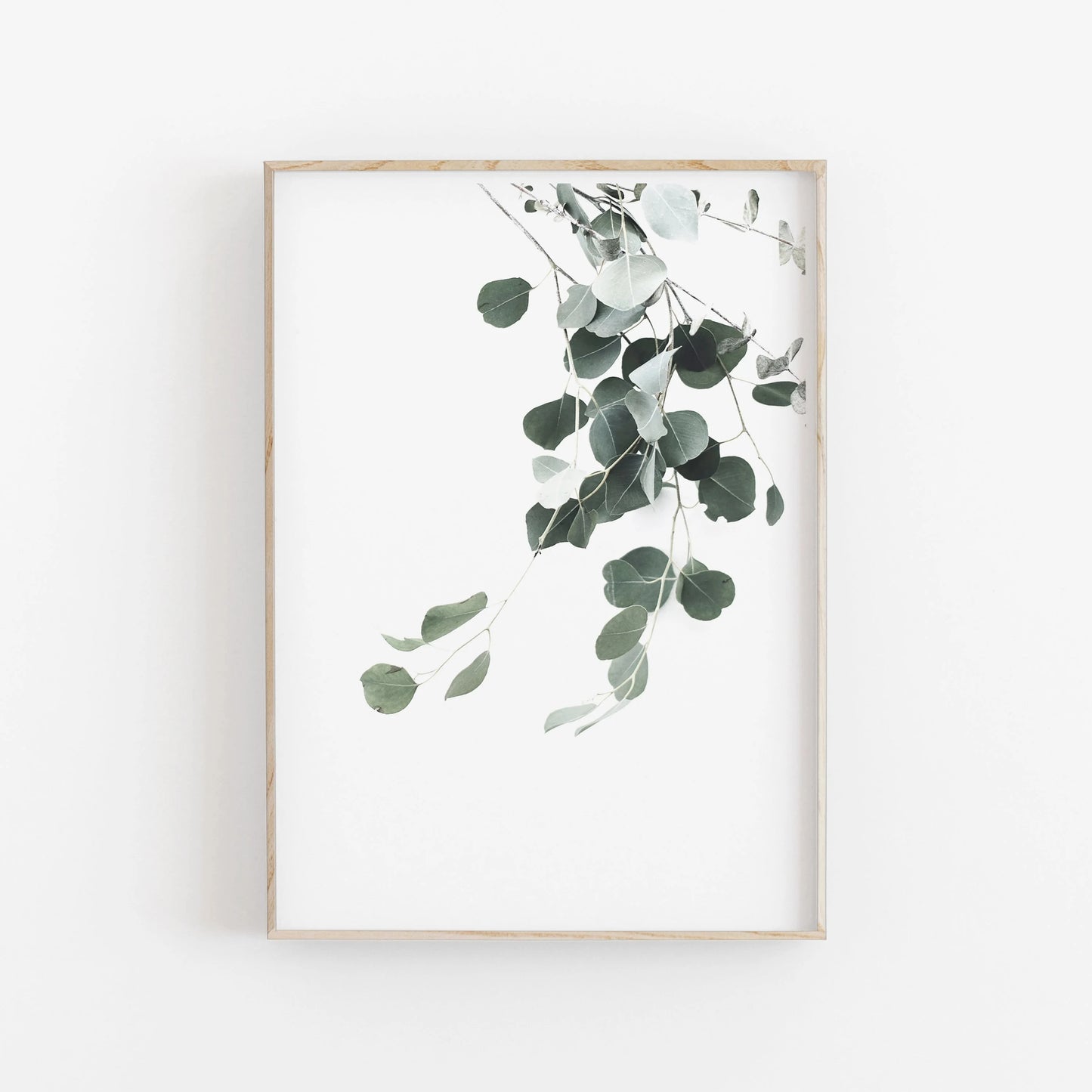 Nordic Botanical Canvas Wall Art – Eucalyptus & Palm Leaves