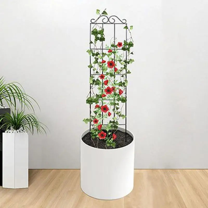 Metal Plant Trellis for Potted Plants – Vine Climbing Support Stake