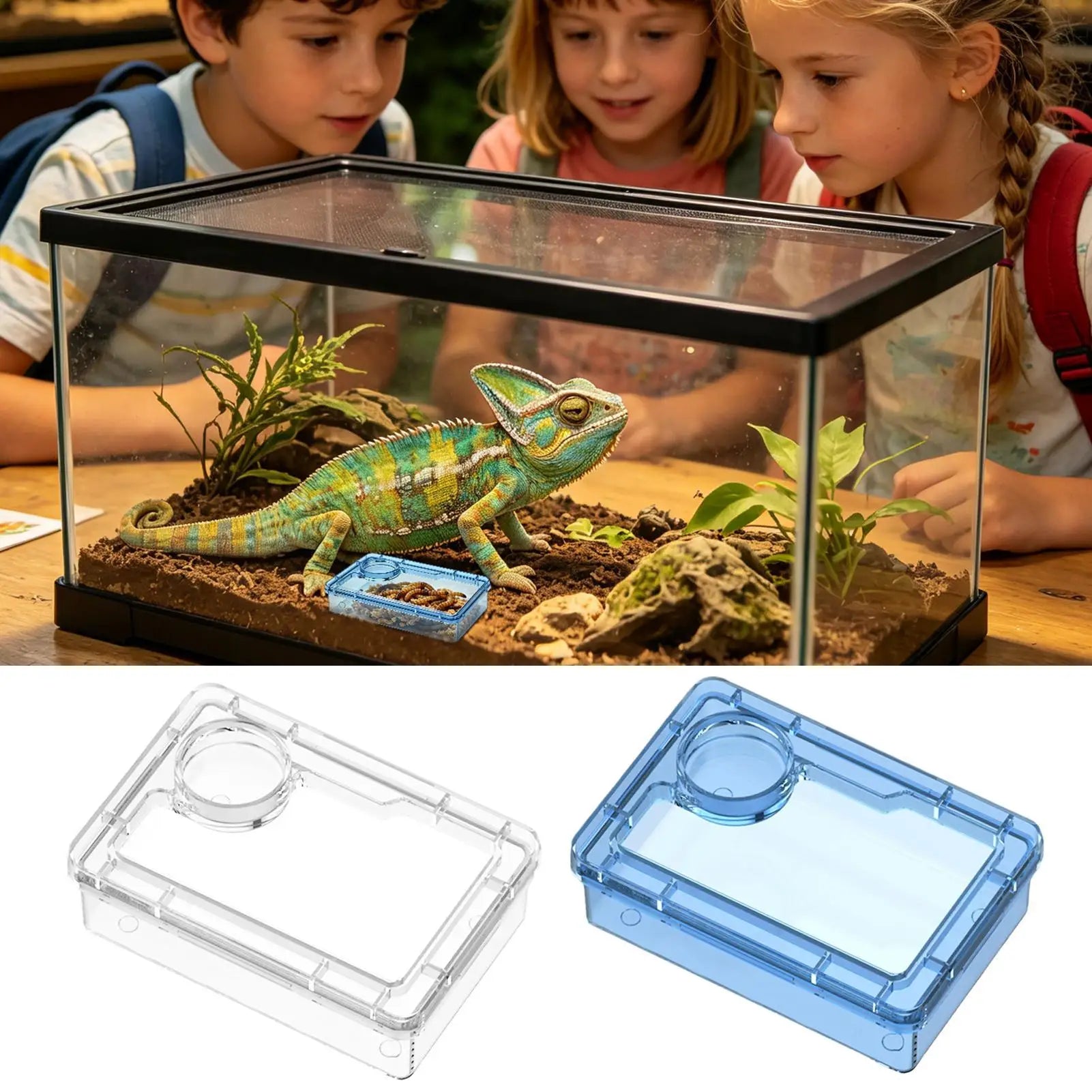 Escape Proof Reptile Food Dish Compartment Feeding Bowl For Leopard Gecko Hermit Crab Frog Spider Chameleon Iguana Lizard Tank Peaceful Pleasures Health and Wellness