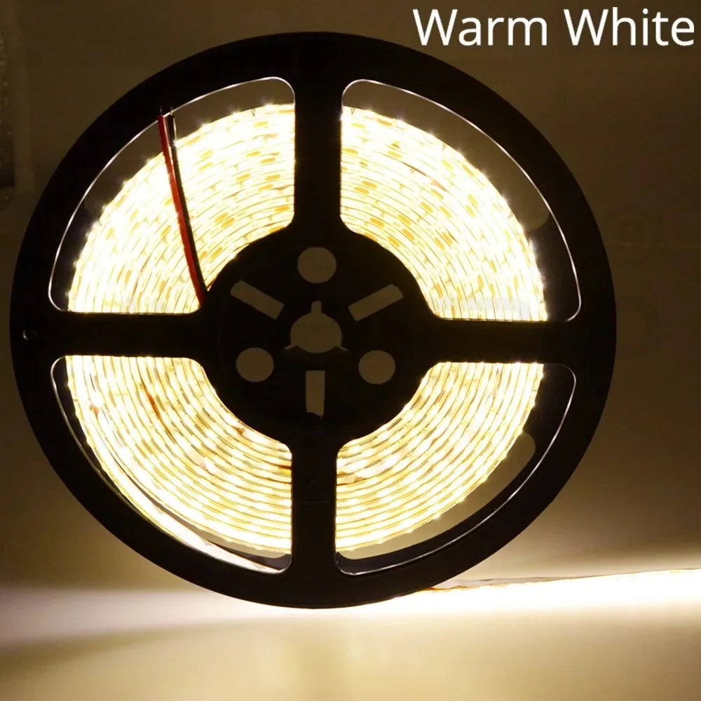 HVIERO 600 LED Strip Light SMD 2835 DC 12V | RGB & Warm White