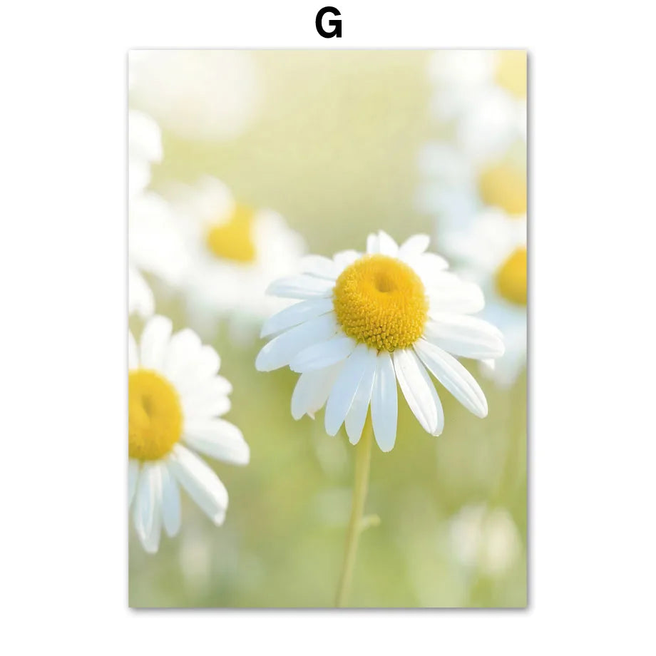 1pc frameless Canvas painting Yellow Idyllic Sunflower Girls Flower Nordic Posters And Prints Canvas Painting Wall Art Pictur Peaceful Pleasures Health and Wellness G 20x30cm Unframed