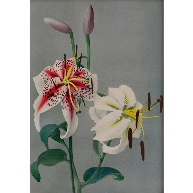 Retro Japanese Floral Illustration Poster Nature Botanical Flower Dahlia Sakura Azalea Canvas Painting Wall Art Room Home Dec Peaceful Pleasures Health and Wellness
