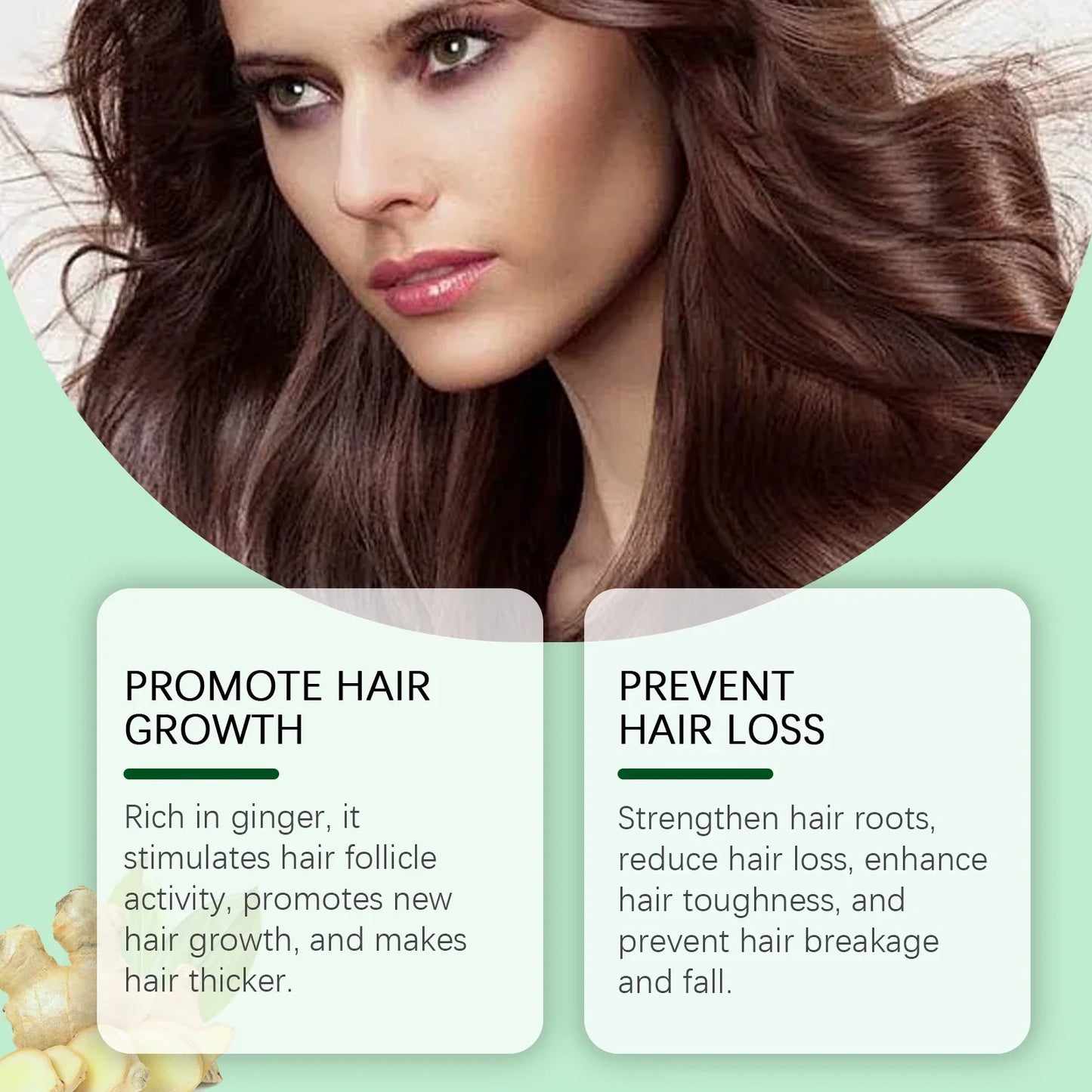 HOEGOA Ginger Shampoo – Oil Control, Dandruff & Hair Growth