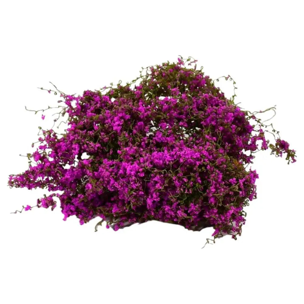 Simulation Miniature Cotton Thread Vine Leaves Model Materials Diy Micro Landscape Wall Plants Layout Accessory Diorama Kits Peaceful Pleasures Health and Wellness E