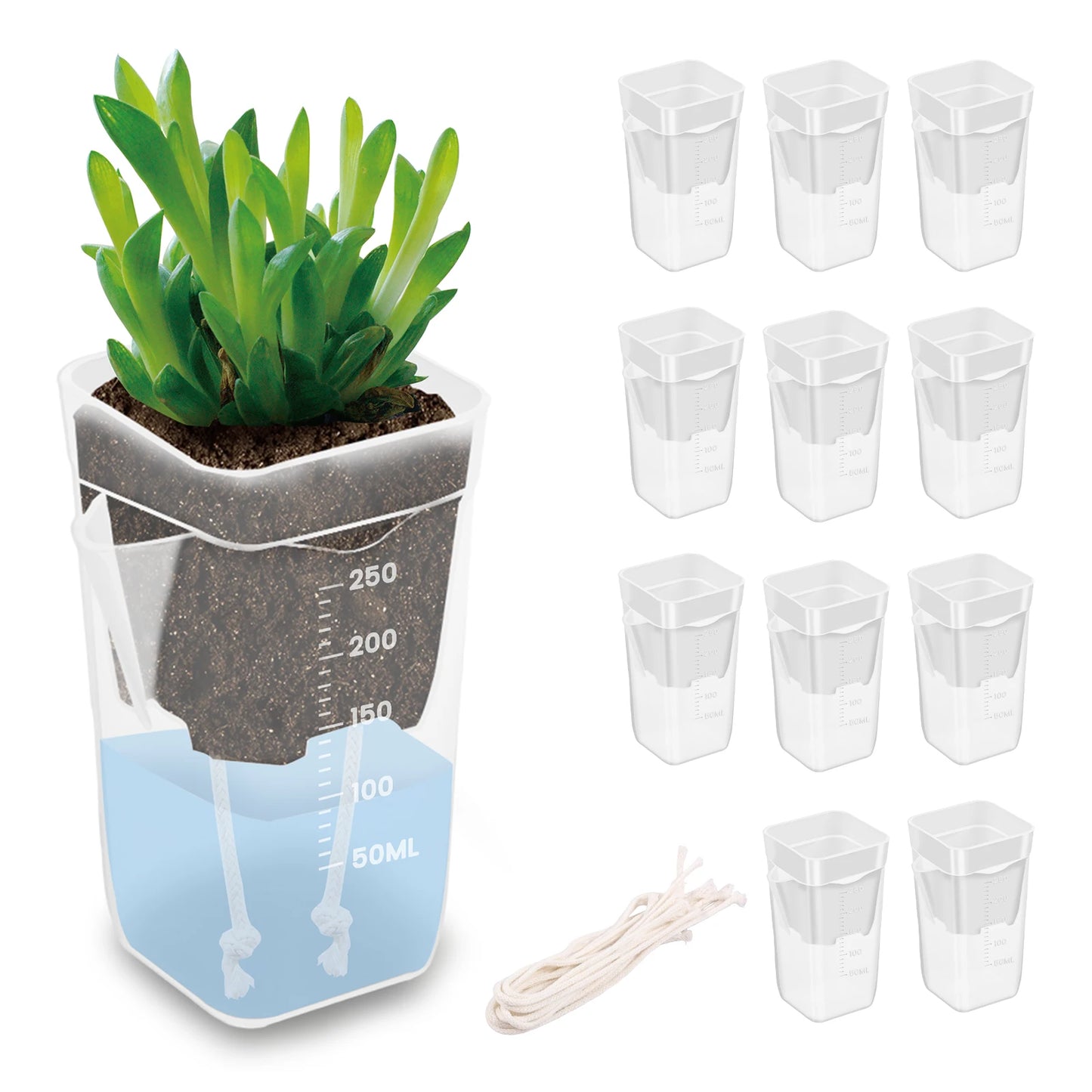 12-Pack Self Watering Plant Pots | Double Layer Nursery Pots