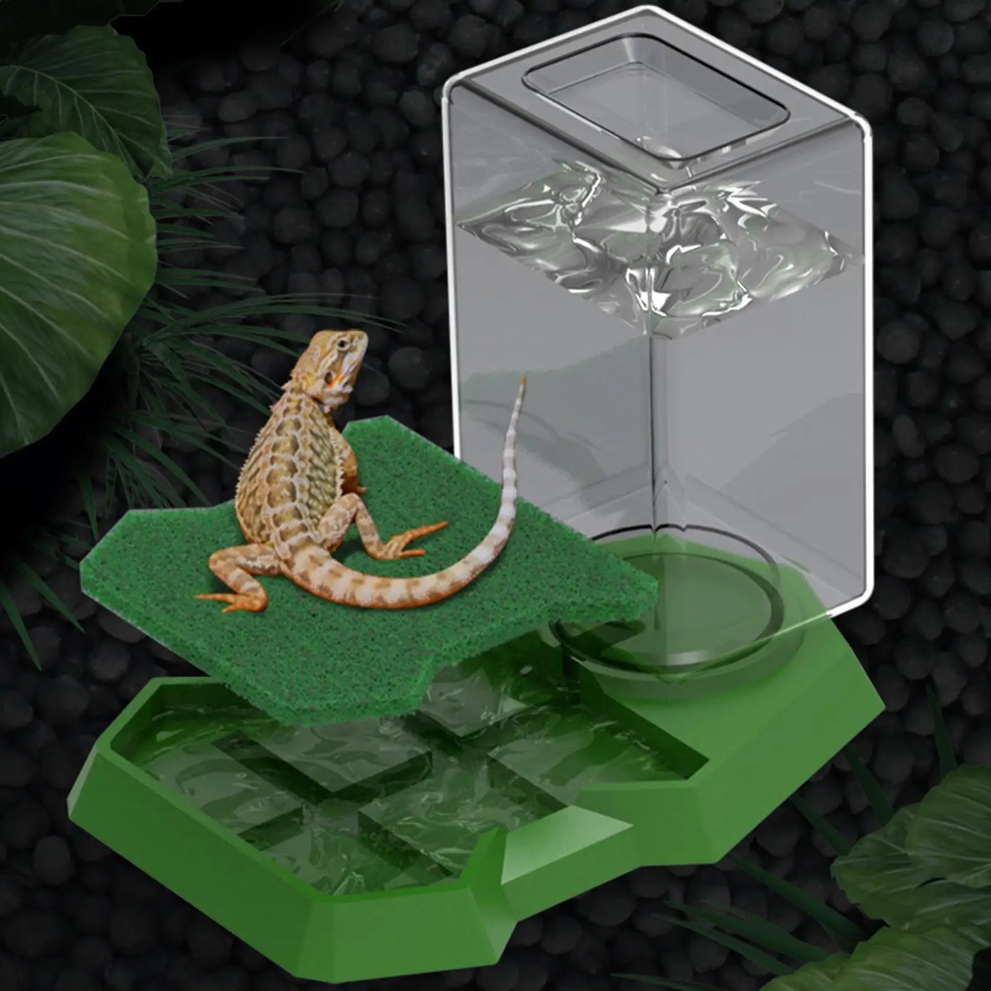 Reptile Water Dispenser & Anti-Slip Dish Bowl | Large Capacity