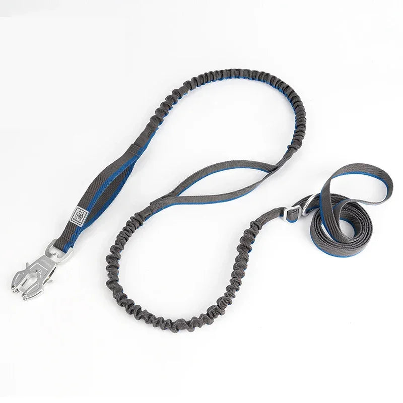 TRUELOVE Dog Leash Heavy Duty with Quick Release/Locking Frog Clip Waterproof Tactical Multi-function Bungee Cobra Buckle YL1833 Peaceful Pleasures Health and Wellness Blue M China Mainland