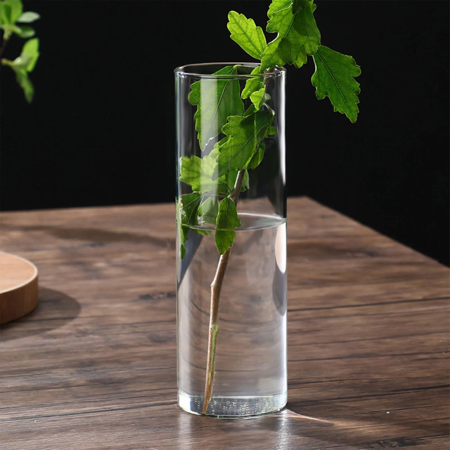 Hydroponic Flower Vase Modern Small Cylinder Flower Centerpiece Vases for Home Office Wedding Table Peaceful Pleasures Health and Wellness