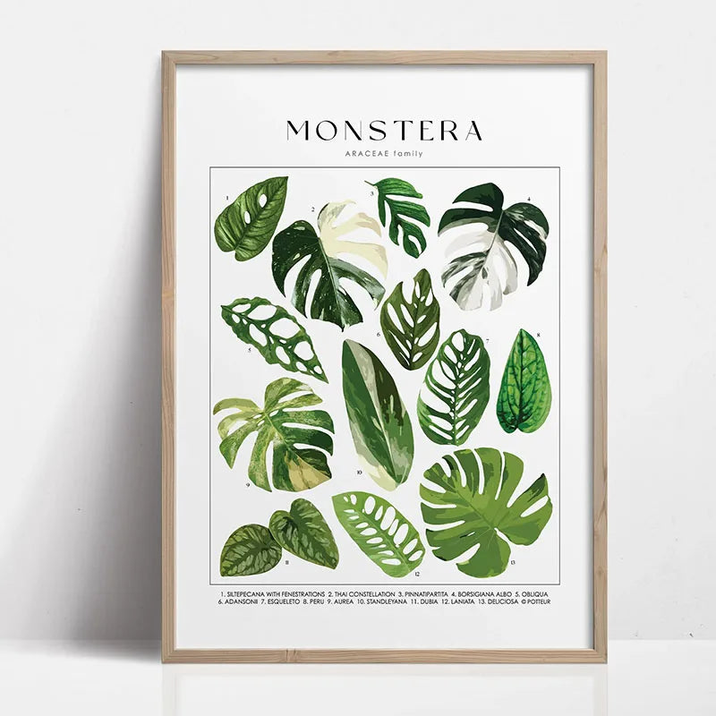 Green Botanical Leaves Canvas Wall Art Houseplants Nature Indoor Home Decor Calming Foliage And Plant Interior Poster Peaceful Pleasures Health and Wellness