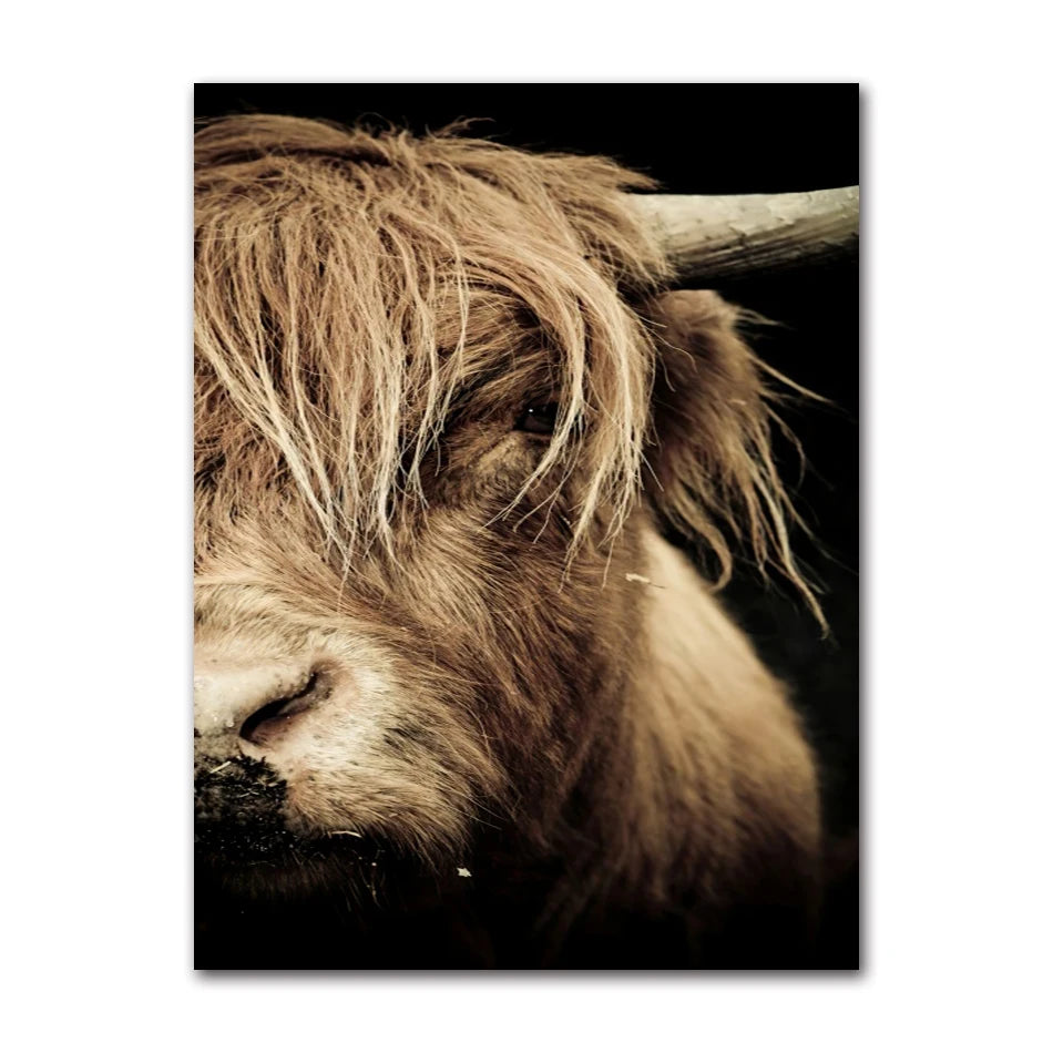 Scottish Highland Cattle Canvas Wall Art | Modern Animal Print